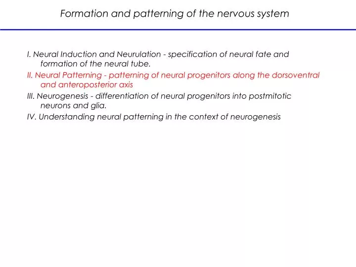 formation and patterning of the nervous system