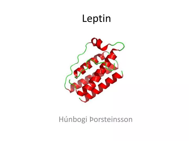 leptin