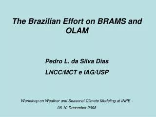 The Brazilian Effort on BRAMS and OLAM Pedro L. da Silva Dias LNCC/MCT e IAG/USP