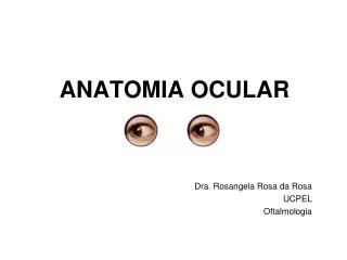 anatomia ocular