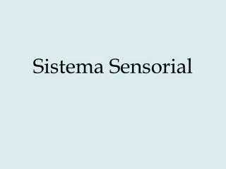 sistema sensorial