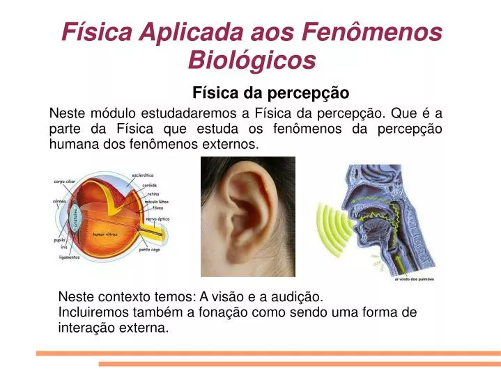 f sica aplicada aos fen menos biol gicos