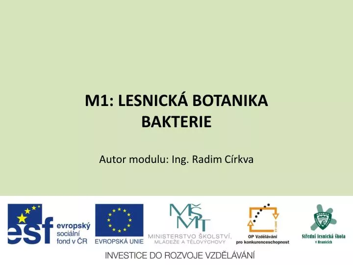 m1 lesnick botanika bakterie