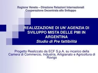 realizzazione di un agenzia di sviluppo mista delle pmi in argentina studio di pre fattibilit