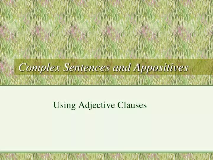 complex sentences and appositives