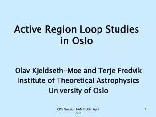 Active Region Loop Studies in Oslo