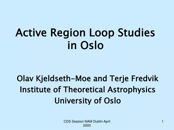 active region loop studies in oslo