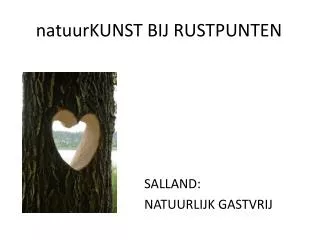 natuurkunst bij rustpunten