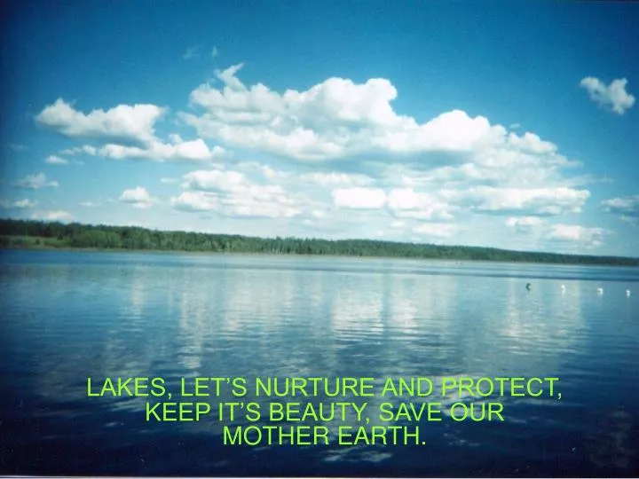 lakes let s nurture and protect