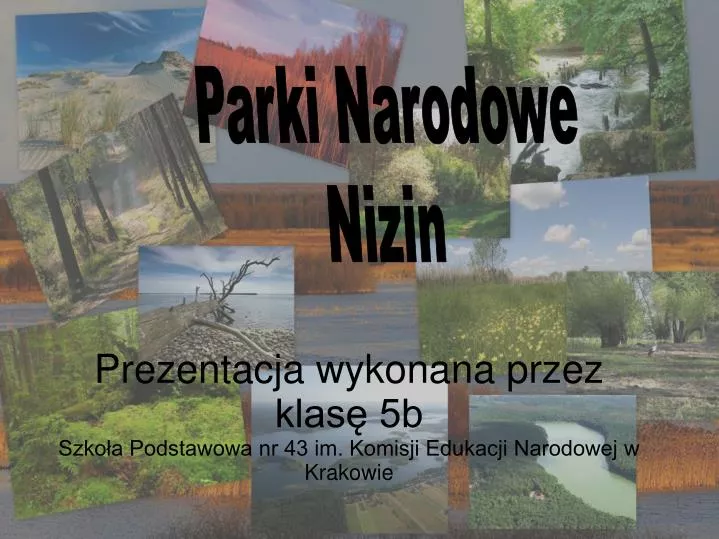 prezentacja wykonana przez klas 5b szko a podstawowa nr 43 im komisji edukacji narodowej w krakowie