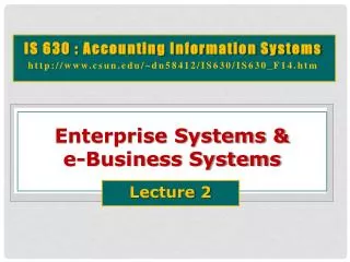 Enterprise Systems &amp; e-Business Systems