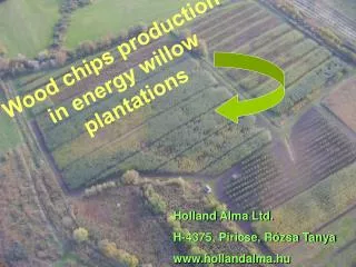 Wood chips production in energy willow plantations