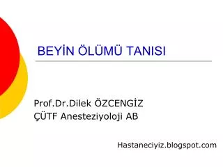 bey n l m tanisi