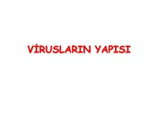 v ruslarin yapisi