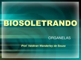 biosoletrando