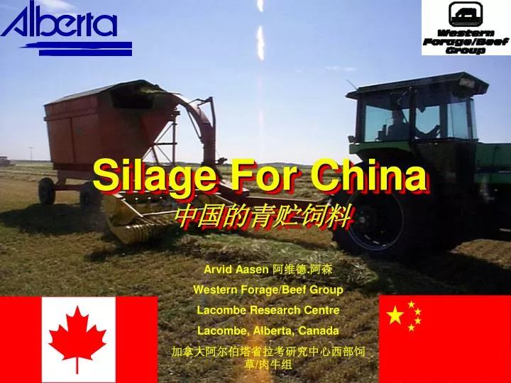 silage for china