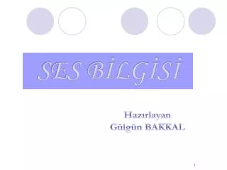 ses b lg s