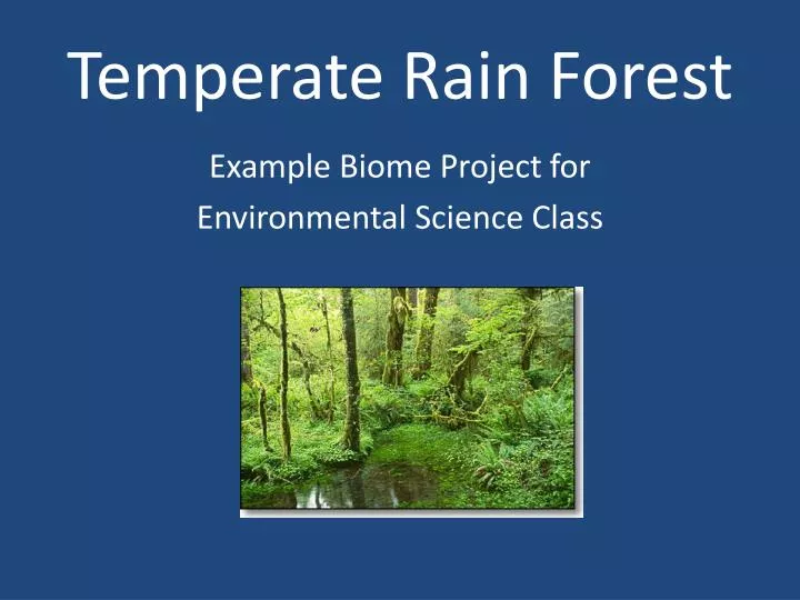 temperate rain forest