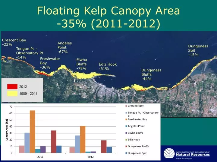 floating kelp canopy area 35 2011 2012