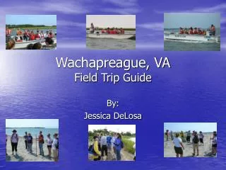 Wachapreague, VA Field Trip Guide