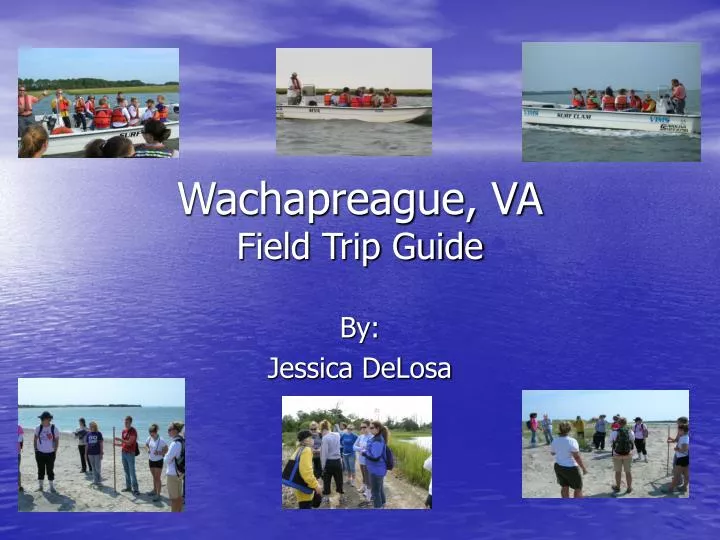 wachapreague va field trip guide