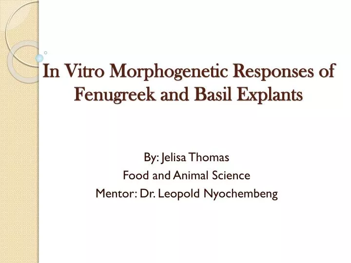 in vitro morphogenetic responses of fenugreek and basil explants