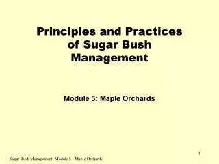 Principles and Practices of Sugar Bush Management