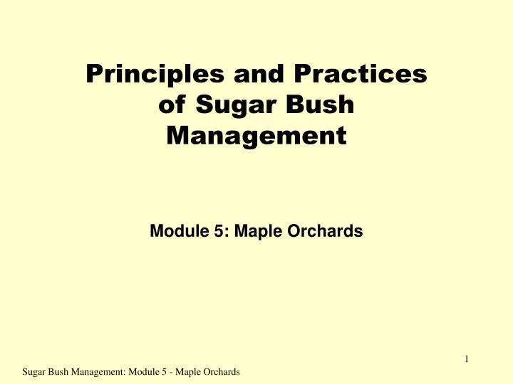 principles and practices of sugar bush management