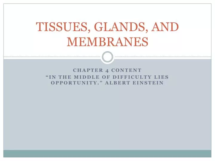 tissues glands and membranes