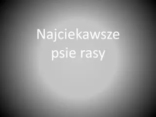 najciekawsze psie rasy