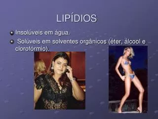 lip dios