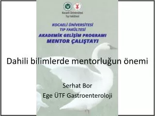 dahili bilimlerde mentorlu un nemi