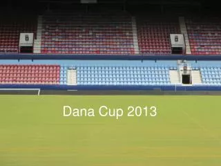 dana cup 2013