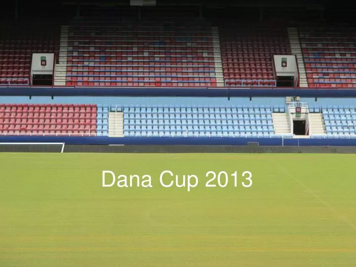 dana cup 2013