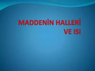 madden n haller ve isi