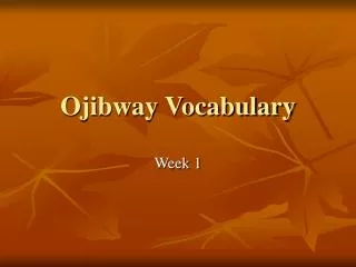 Ojibway Vocabulary