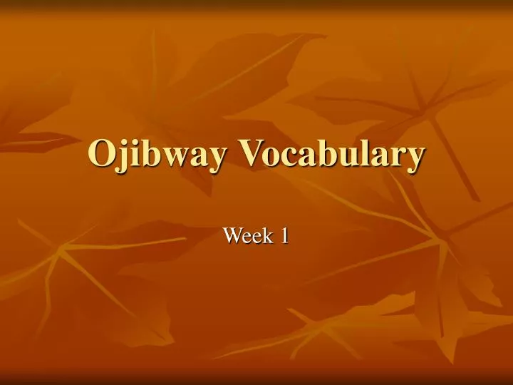 ojibway vocabulary