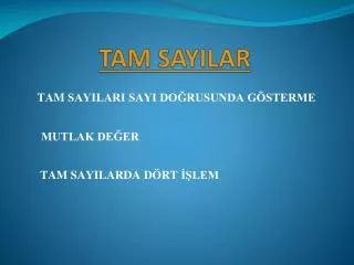 tam sayilar