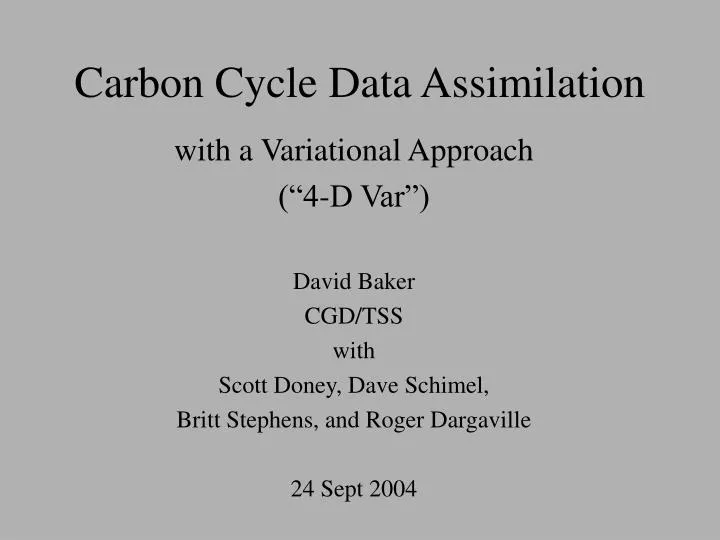 carbon cycle data assimilation
