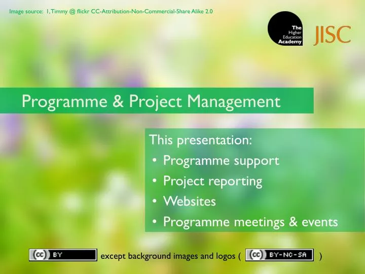 programme project management