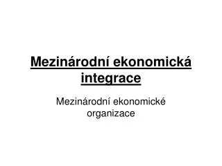 mezin rodn ekonomick integrace