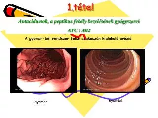 1 t tel