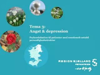 tema 3 angst depression psykoedukation til patienter med emotionelt ustabil personlighedsstruktur