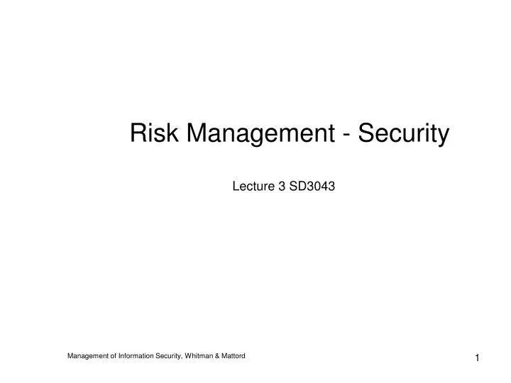 risk management security