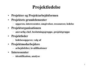 projektledelse