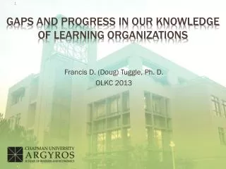 Gaps and progress in our Knowledge of learning organizations
