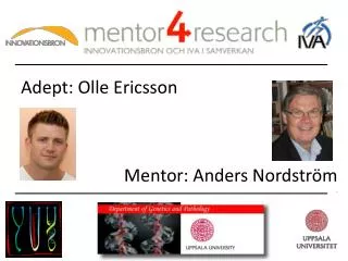 adept olle ericsson