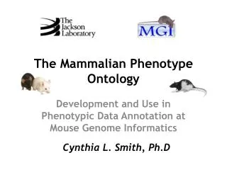 The Mammalian Phenotype Ontology