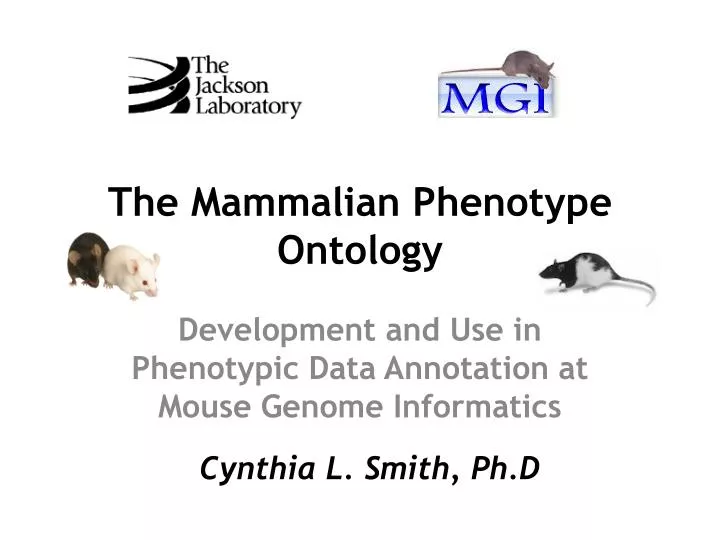 the mammalian phenotype ontology