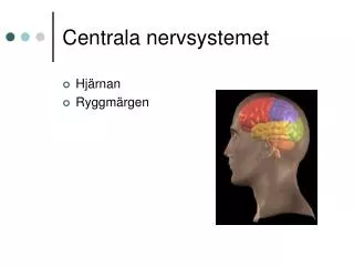 centrala nervsystemet